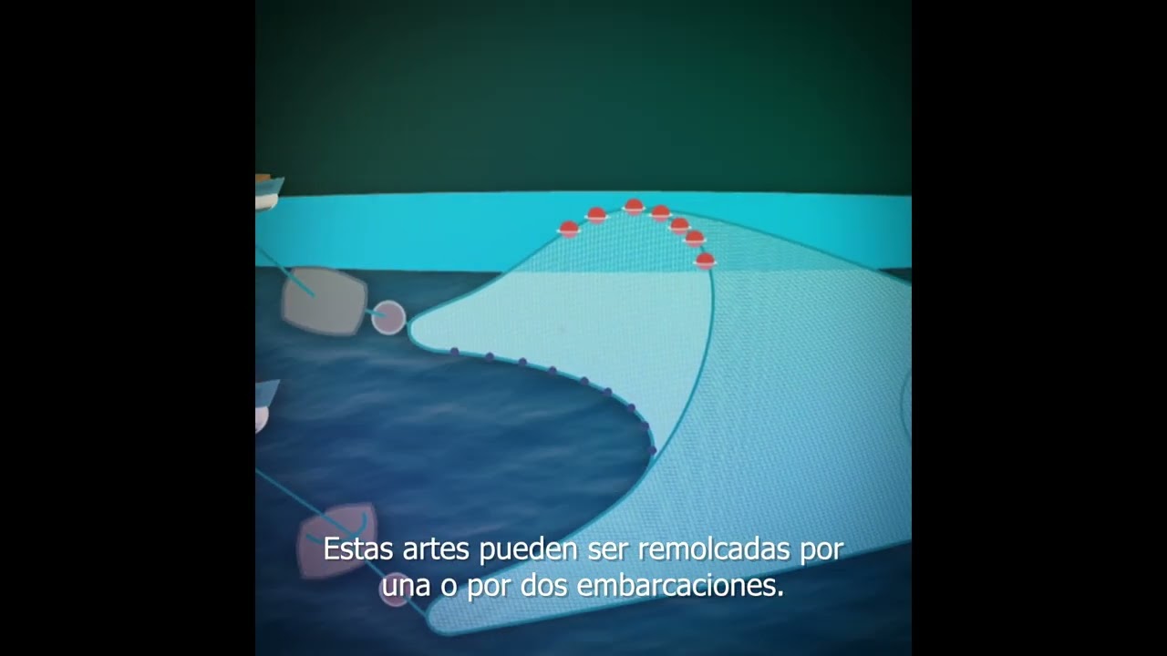 Artes de pesca artesanales | Arrastre