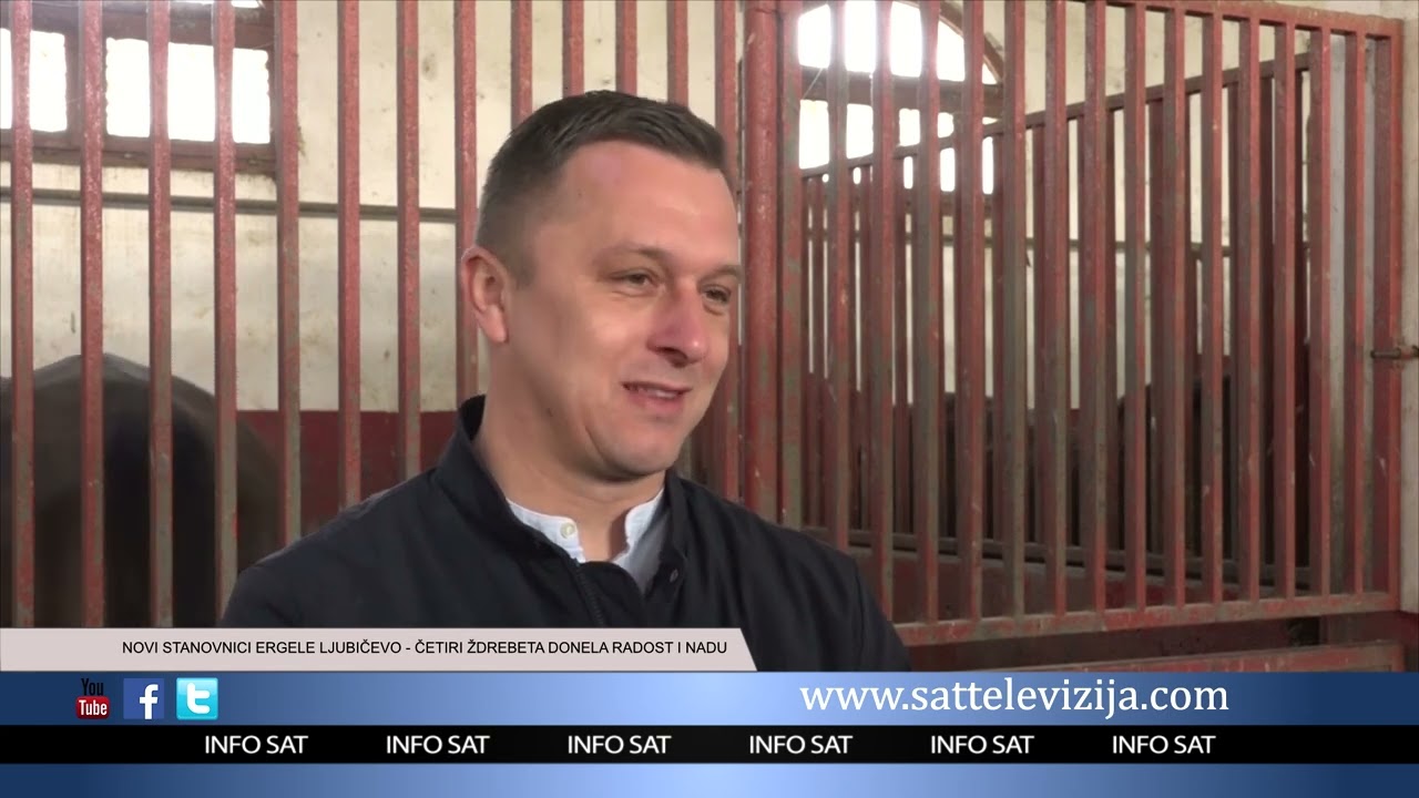 NOVI STANOVNICI ERGELE LJUBIČEVO   ČETIRI ŽDREBETA DONELA RADOST I NADU