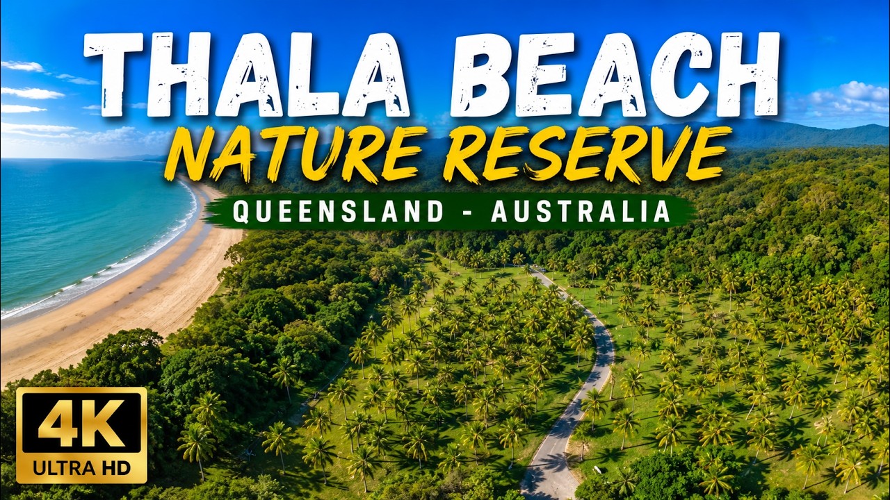 Thala Beach Nature Reserve tour - Queensland - Australia