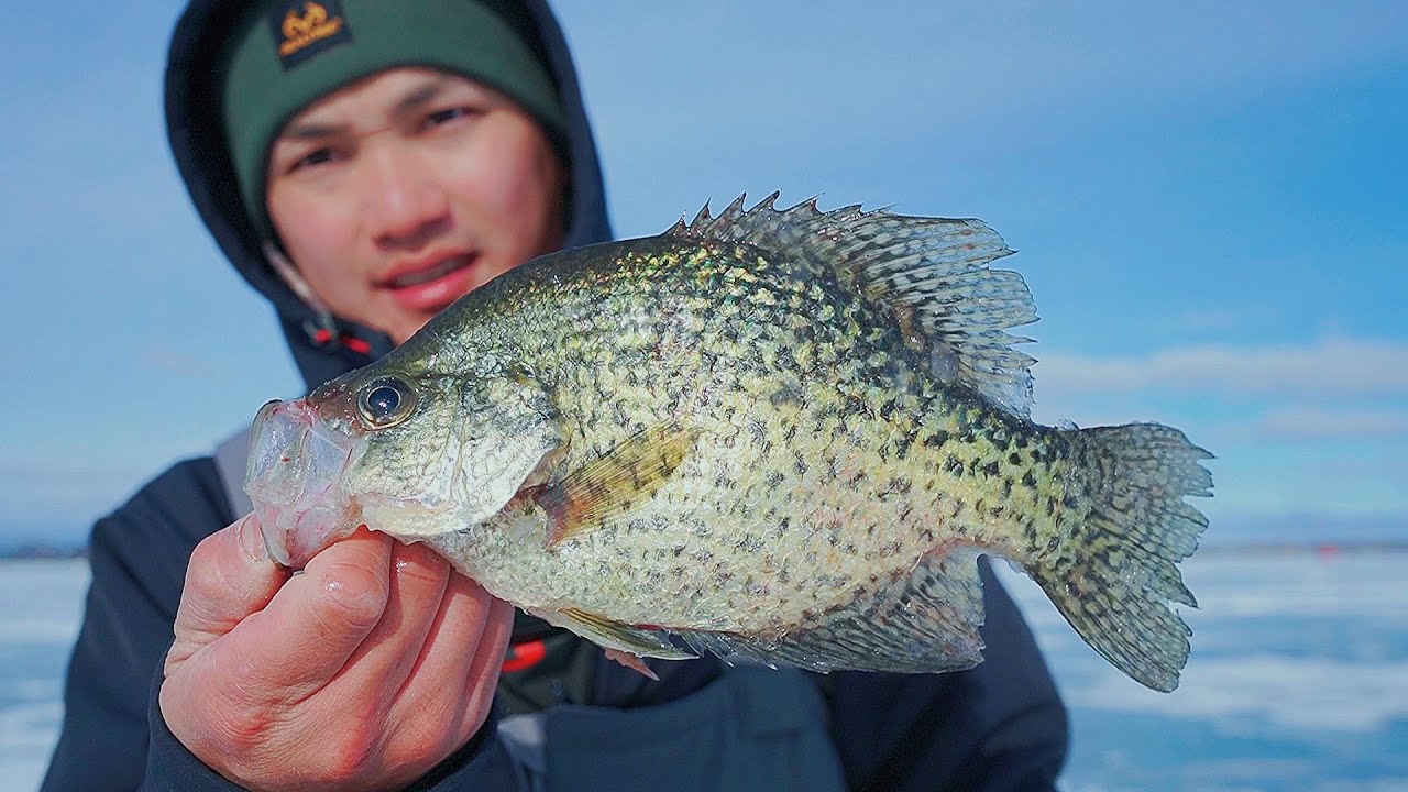 Hustling for Crappies on Pressured Lake (Don't Stop Moving!)