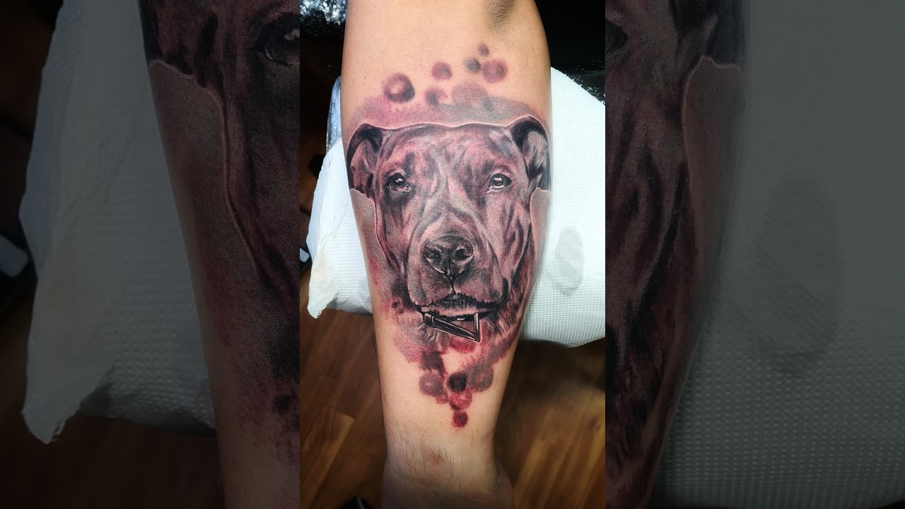 Portrait Dog - Tattoo Time Lapse - 4K