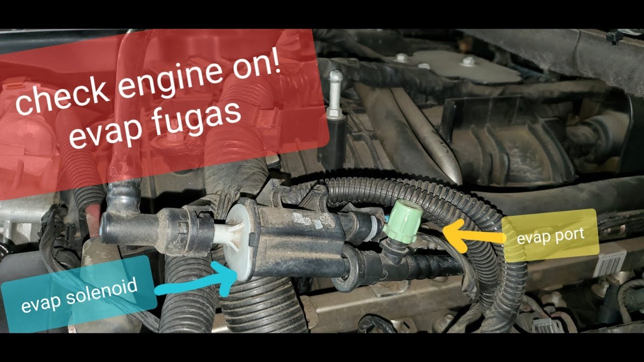 EVAP code p0442, p0455 large leak detected - fuga vapores de gasolina