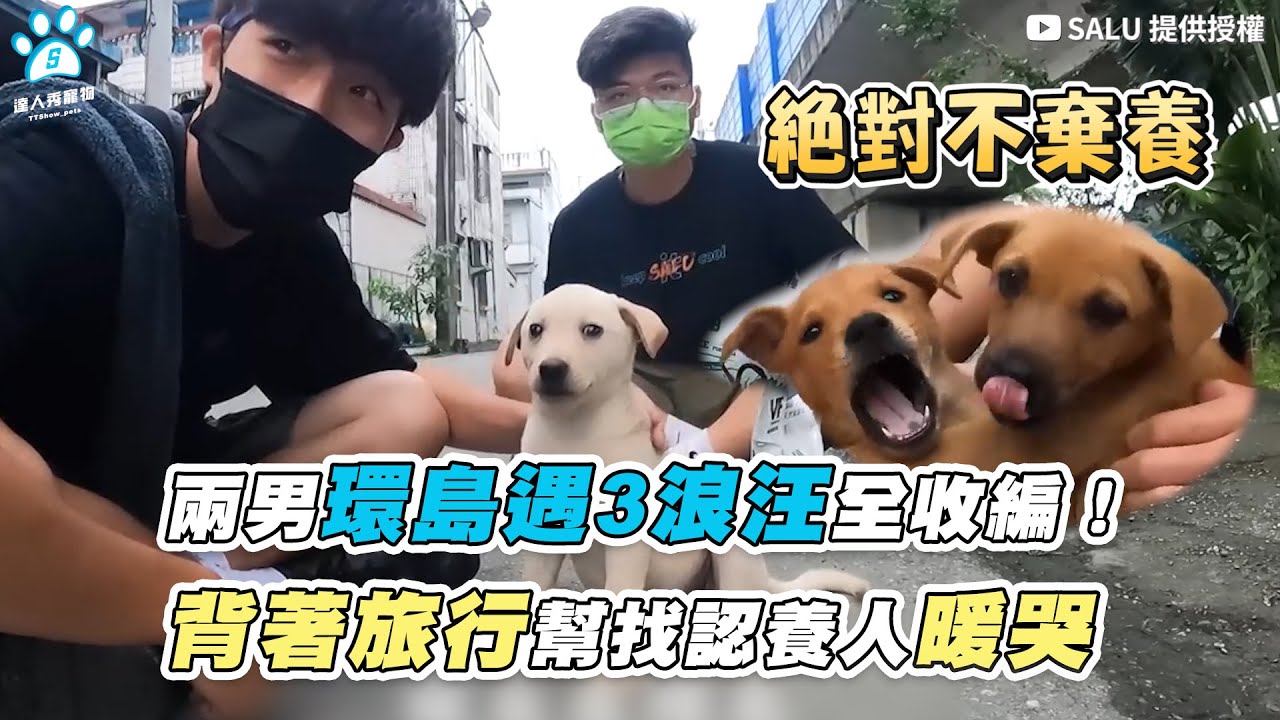 【兩男環島遇3浪汪全收編！ 揹著旅行幫找認養人暖哭】｜