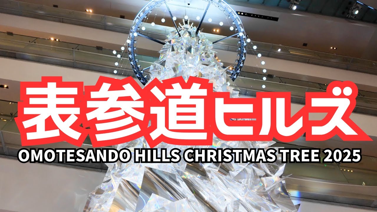 【表参道ヒルズ】OMOTESANDO HILLS CHRISTMAS TREE 2025 → キャットストリート → 渋谷スクランブル交差点