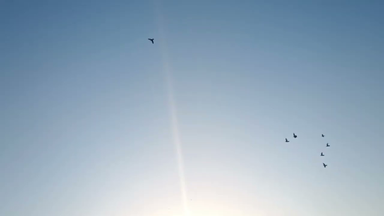 اليوم كبل بالاعظميه..... ورجع واحد من الضاعن شوف اشوكت رجع