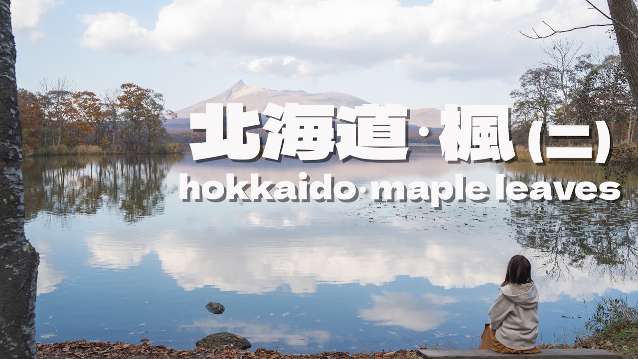 [🍁日本北海道紅葉之旅EP2] 大沼國定公園 | | 函館朝市 |  紅葉 | Lucky Pierrot | 自駕攻略 | 函館必食Pancake六花亭 | 性價比高omakase