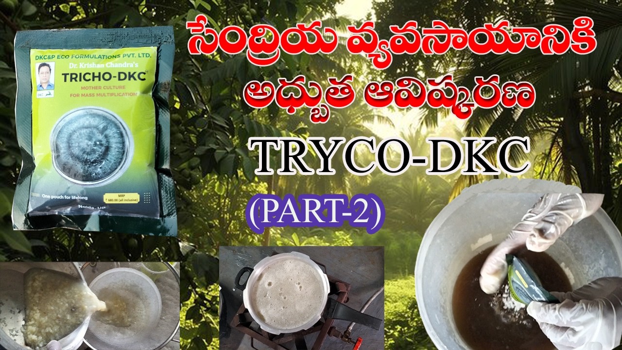 5 రకాల ట్రైకోడెర్మా జాతుల మిశ్రమం TRYCO-DKC (PART-2) ||  @organicchillitrading6955