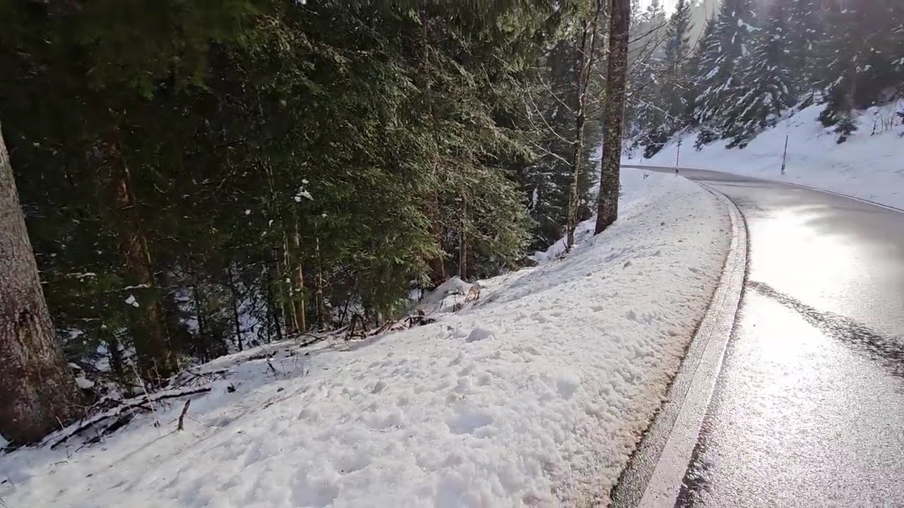 Winterspaziergang am Krai-Woog-Gumpen ❄️ | Verschneiter Wald & Bach | Original Naturgeräusche