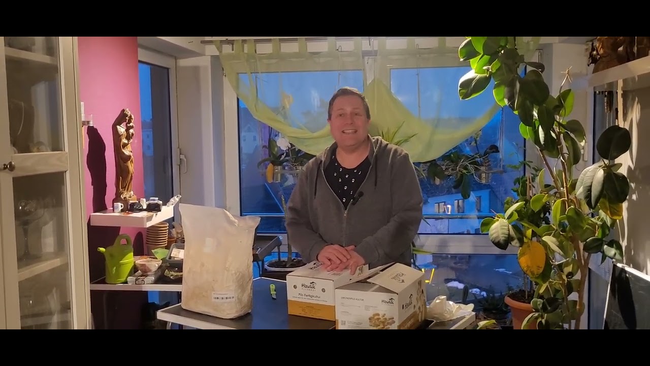 Pilze in der Wohnung kultivieren 
