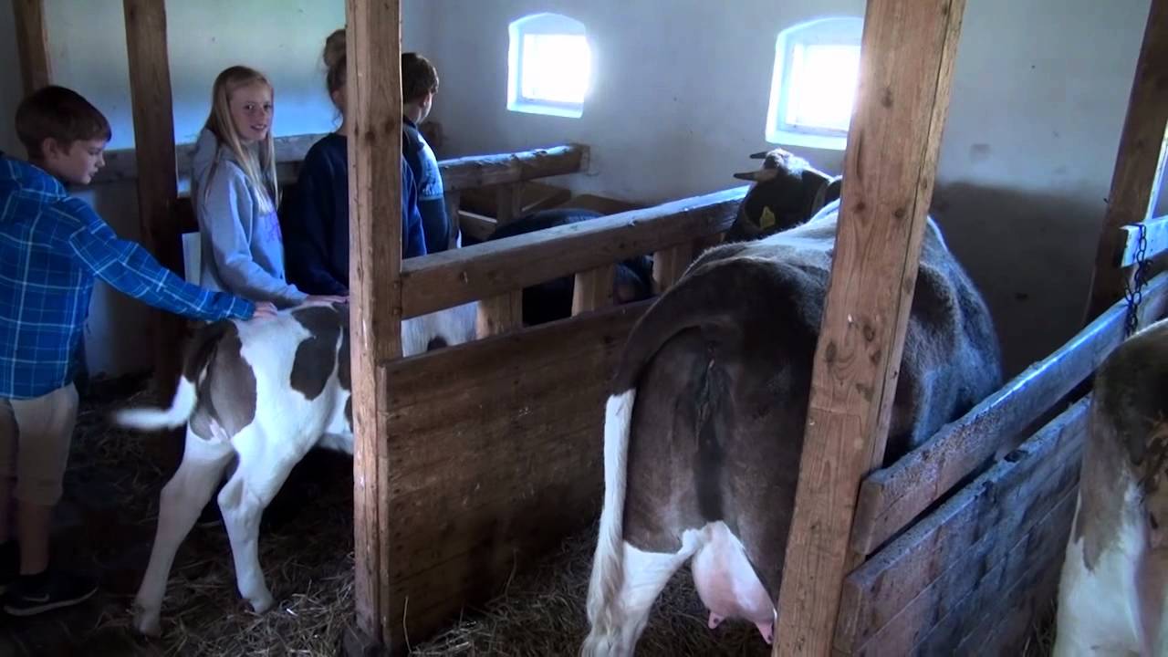 Bevaringsbes&aelig;tning: Jysk kv&aelig;g