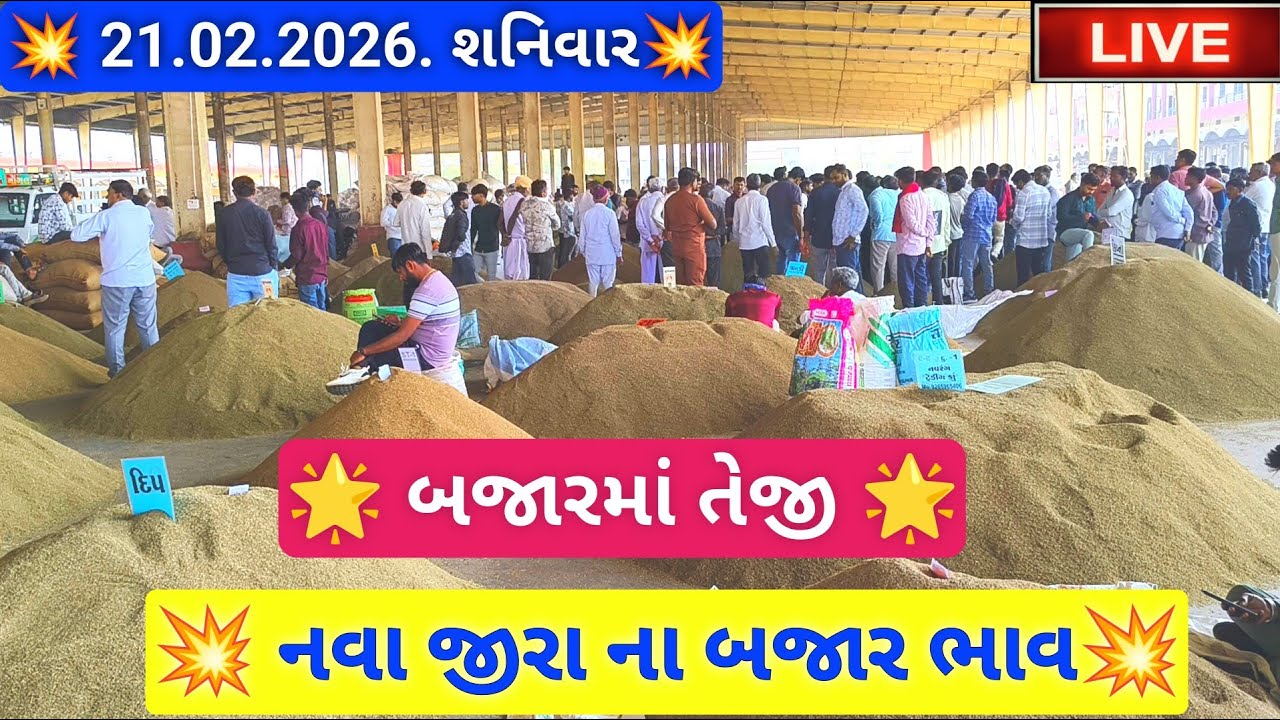 🔴live part -2 નવા જીરા ના બજાર ભાવ આજના જસદણ માર્કેટિંગ યાર્ડ, cumin auction price,February 21, 2026