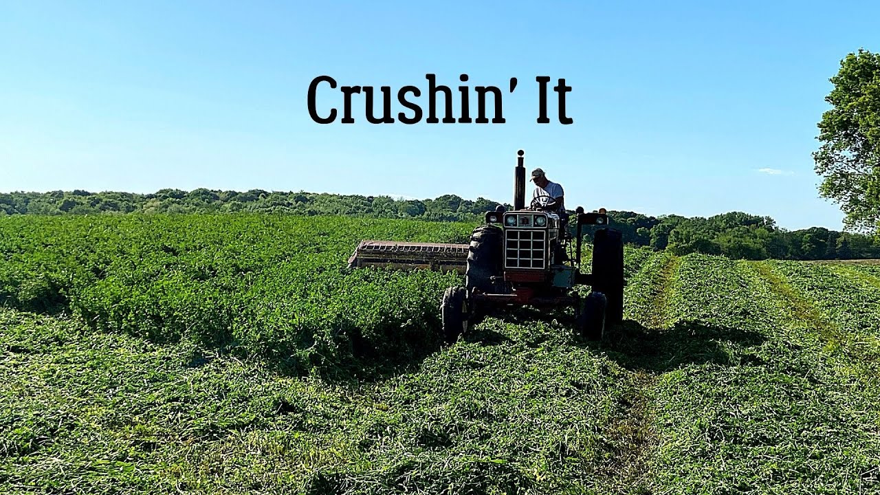 Haybine Roller Review - Second Alfalfa Crop