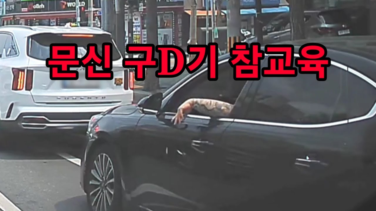 도참시 블랙박스 : ㅎㅎㅎㅎ    2025 최신블박영상