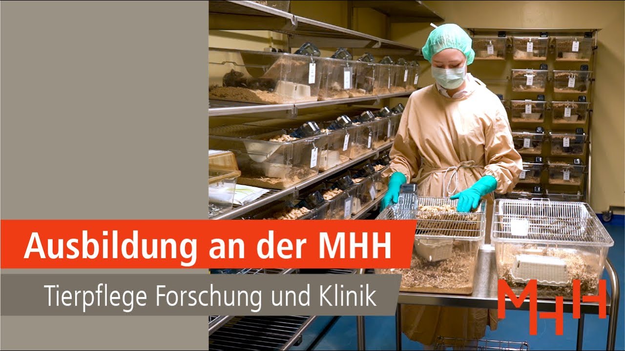 Azubis in der MHH: Die Tierpflegeausbildung