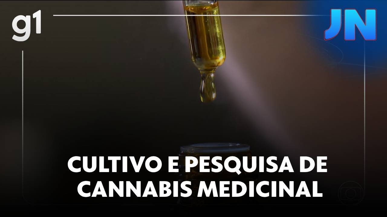 Jornal Nacional: Anvisa publica regras para cultivo e pesquisa de cannabis medicinal