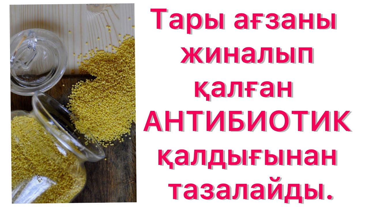 Тарының ағзаға пайдасы мен зияны. #тары #талқан #пшено