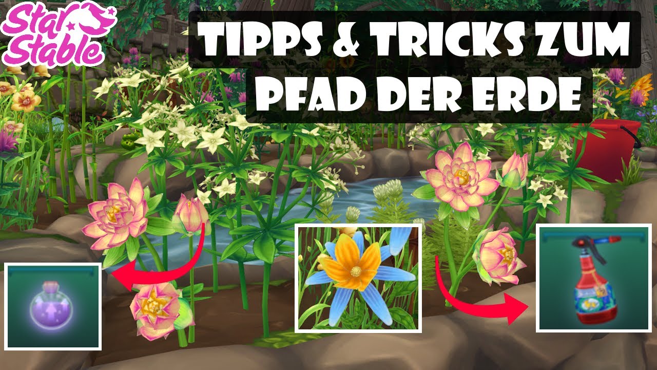 Alles was du zum Pfad der Erde wissen musst + Tipps & Tricks! 🌱 | Star Stable Online [SSO]