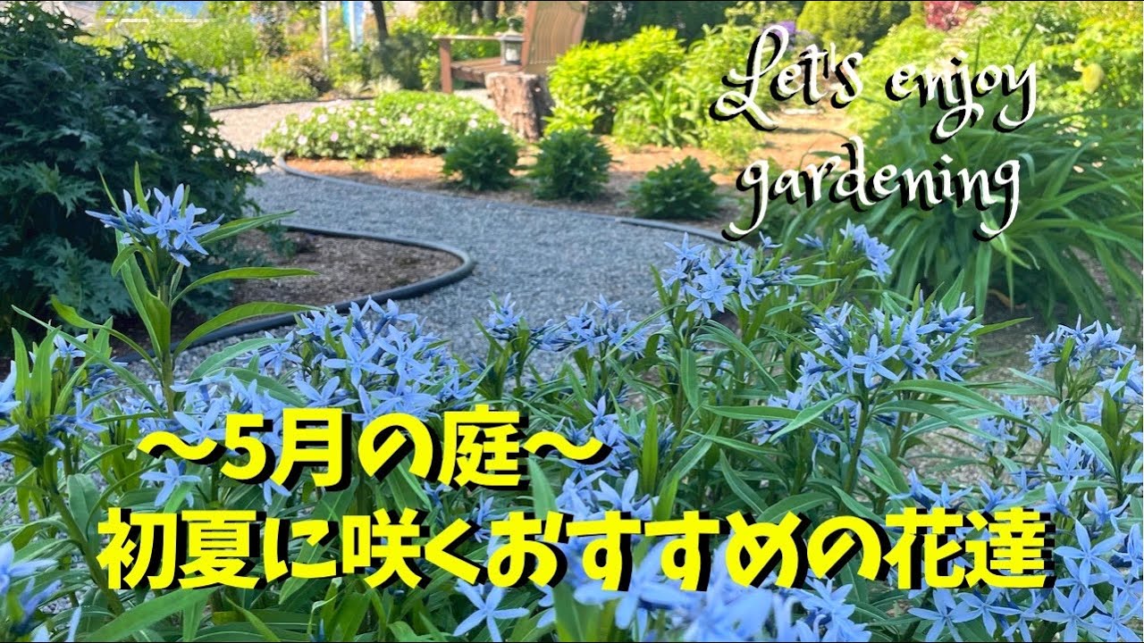 ガーデニング/初夏に咲く満開の花たち　おすすめの品種をご紹介！！