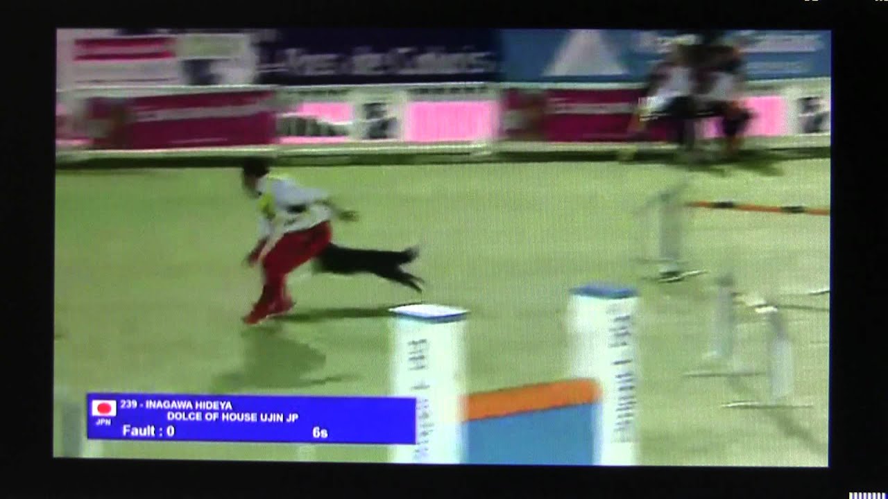 世界大会　チームラージJP