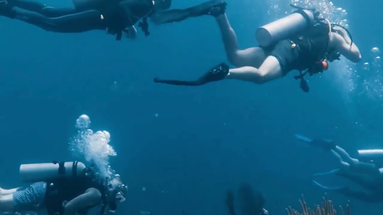 Grand Cayman 2-Tank AM North Wall Dive from Red Sail Sports