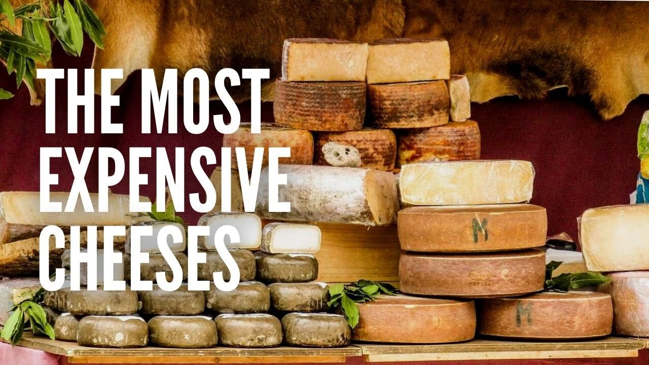 The 16 Most Expensive Cheeses in the World