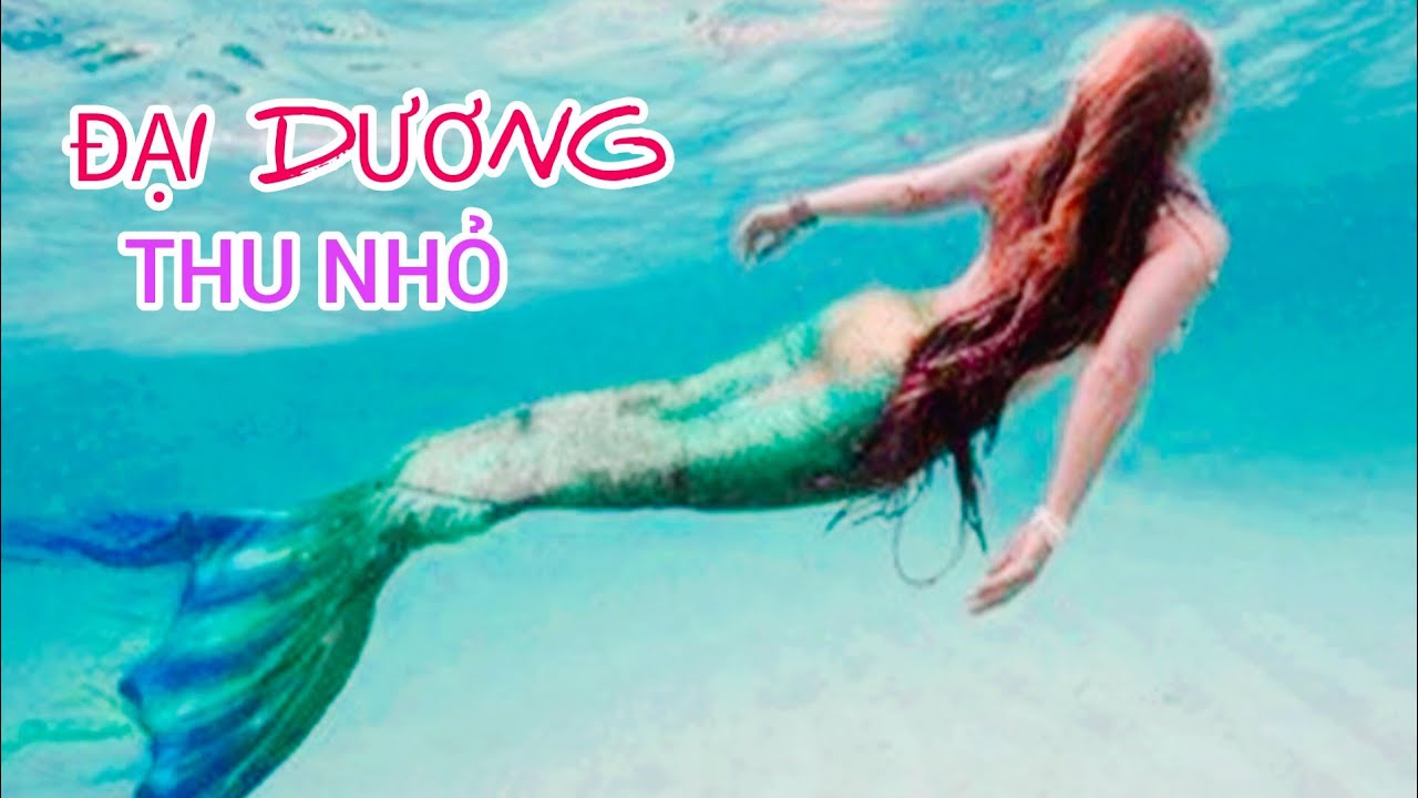 BIỂU DIỄN NÀNG TIÊN CÁ Ở THỦY CUNG PHÚ QUỐC | MERMAID SHOW IN VINWONDERS PHU QUOC