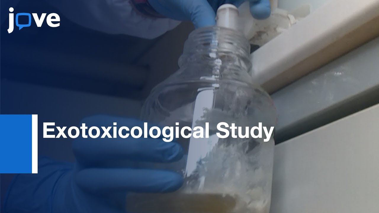 Exotoxicological Method to study Toxicity of Enviromental Contaminants | Protocol Preview