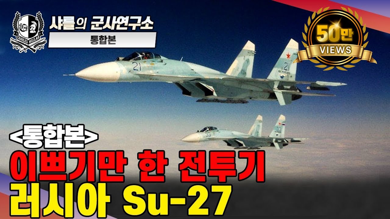 [통합본] 이쁘기만 한 전투기! 러시아 Su-27#샤를세환#이세환