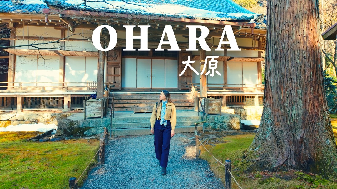 I Visited a 700-Year-Old Tree in Kyoto’s Countryside 🌿 | First Time in Ohara