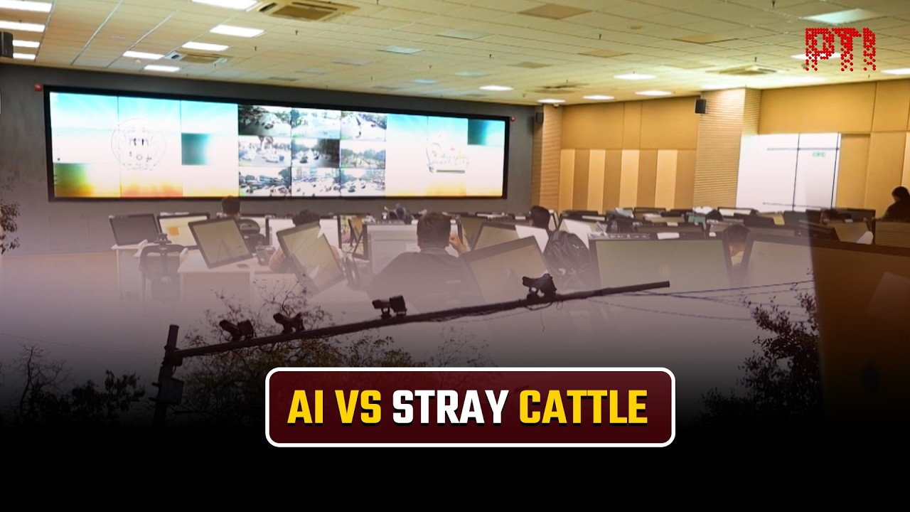 AI-powered system helps Gujarat tackle stray cattle in smart city push