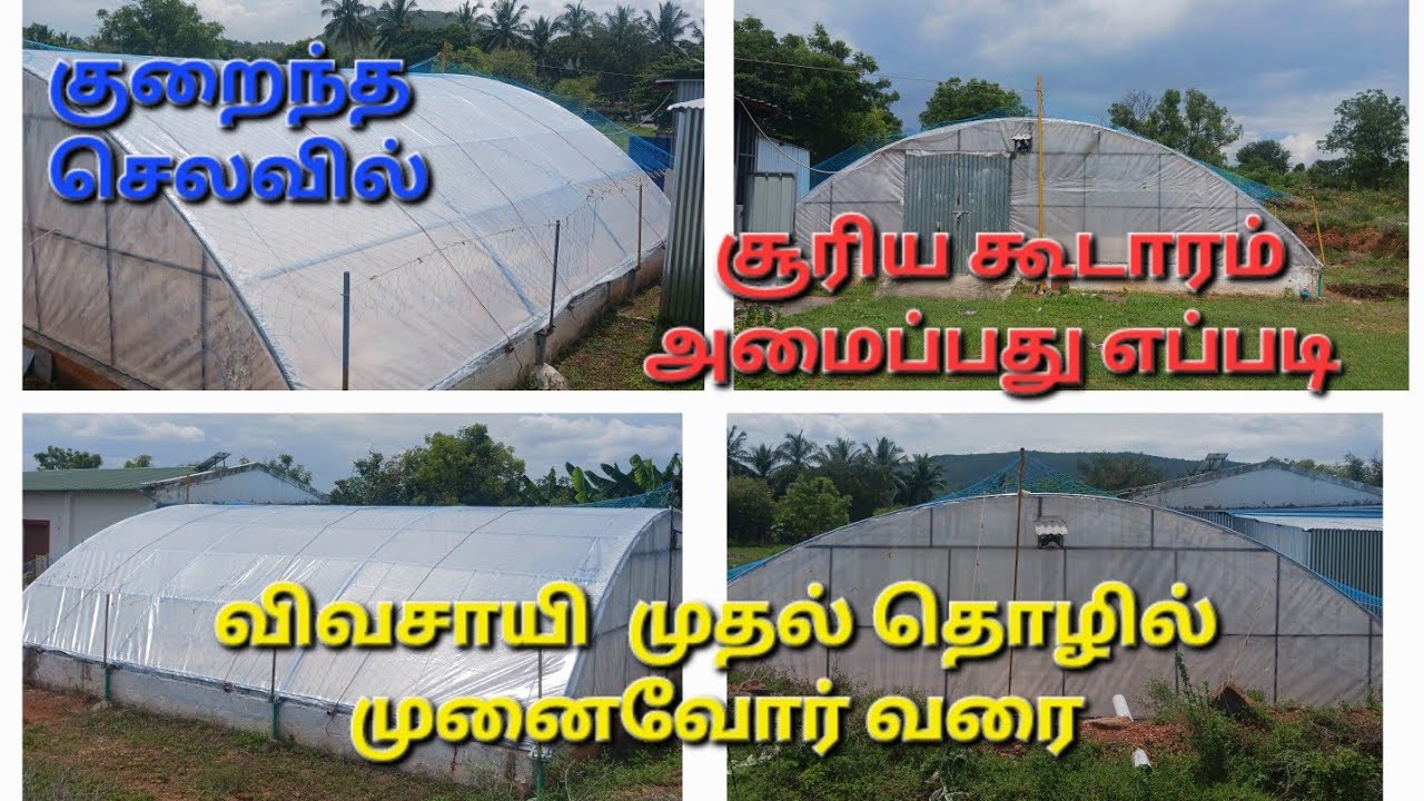 1000 ச.அடி சூரிய  கூடாரம் செந்தமாக அமைக்கும்  முறை மற்றும் செலவினங்கள்  #solardryer #cost #video 