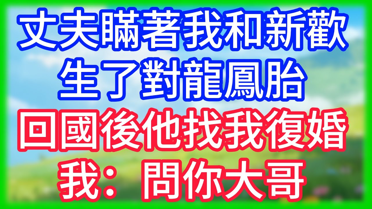 【爽文】丈夫瞞著我和新歡生了對龍鳳胎，回國後他找我復婚，我：問你大哥