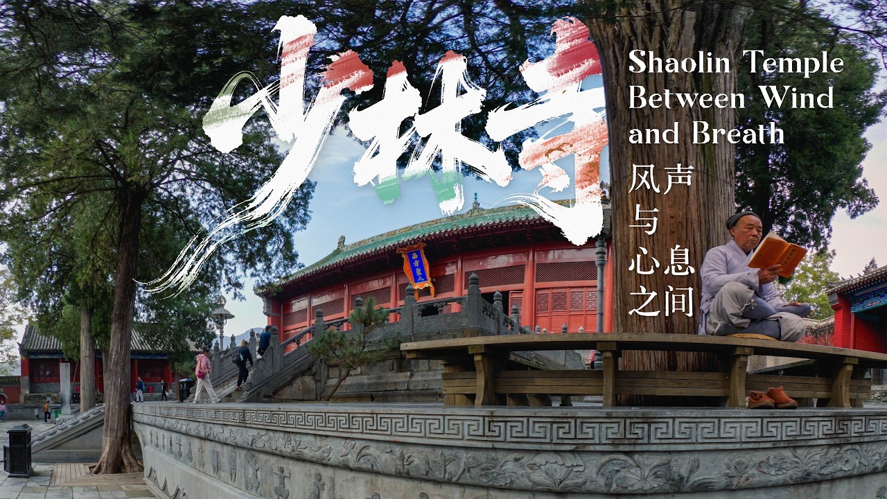 【VR180 3D】少林寺 风声与心息之间 Shaolin Temple Between Wind and Breath