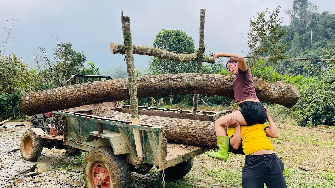 Agricultural vehicle transporting wood; a girl with creative skills single-handedly loads wood.