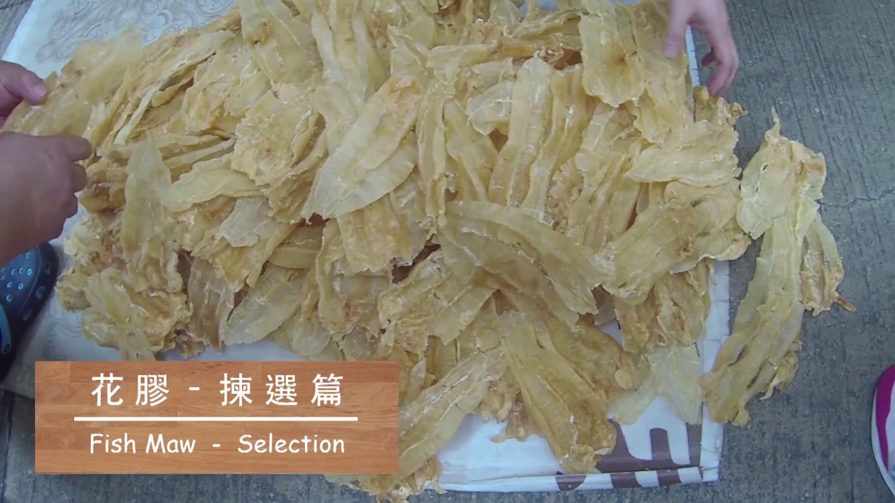 [海味系列] 花膠 - 揀選篇 Fish Maw - Selection