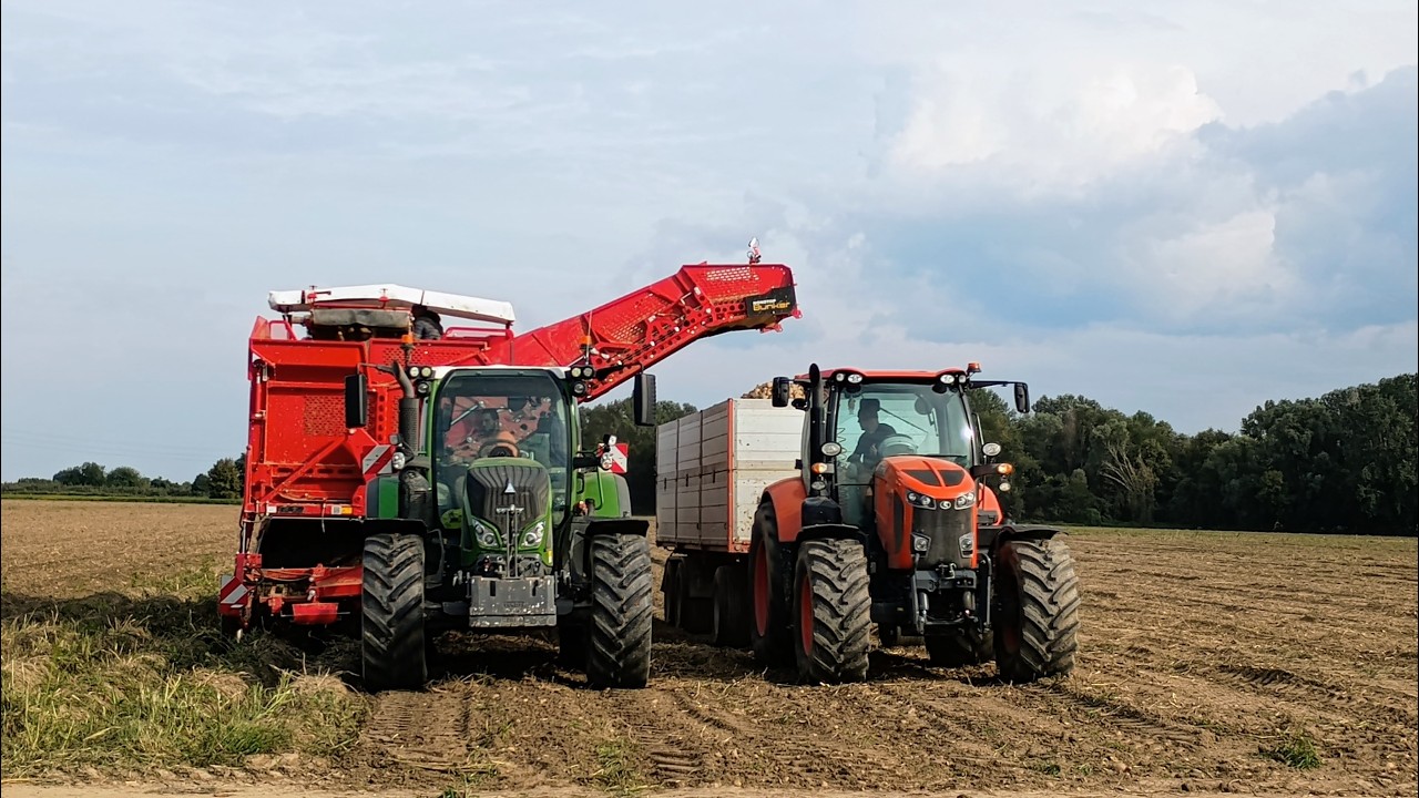 RACCOLTA PATATE 2024 | Fendt 716 Vario | Grimme EVO 280 | Kubota M7171 | POTATOES HARVEST