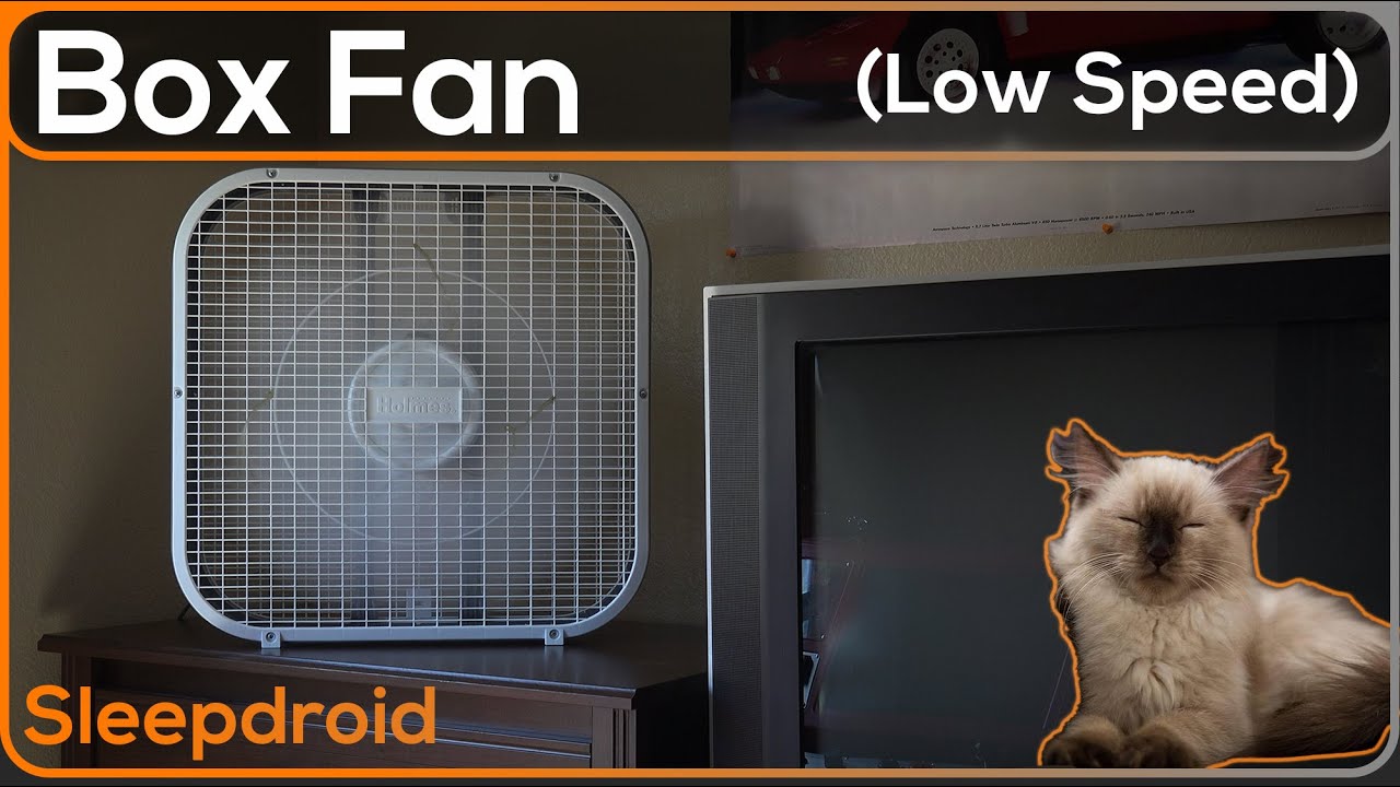 ►10 hours of Box Fan White Noise (LOW Speed) Sounds for Sleeping (with Kitten Cameo) Fan Noise