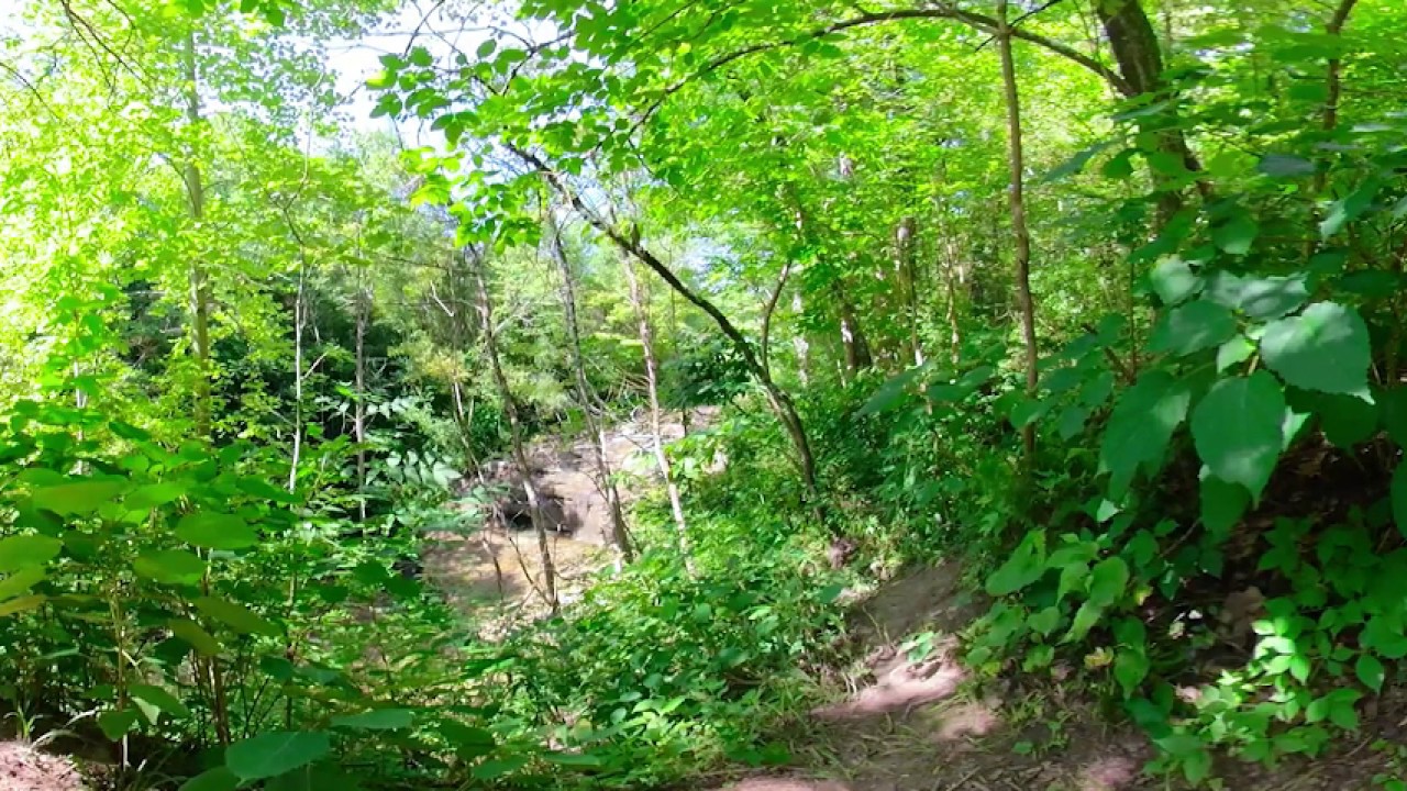 360 Video of Highland County and Agriculture