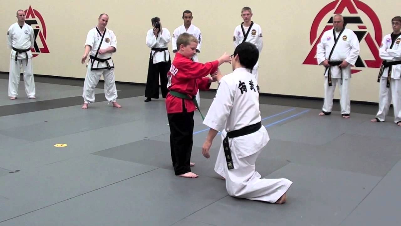 1st International Hankido Seminar Texas 2011