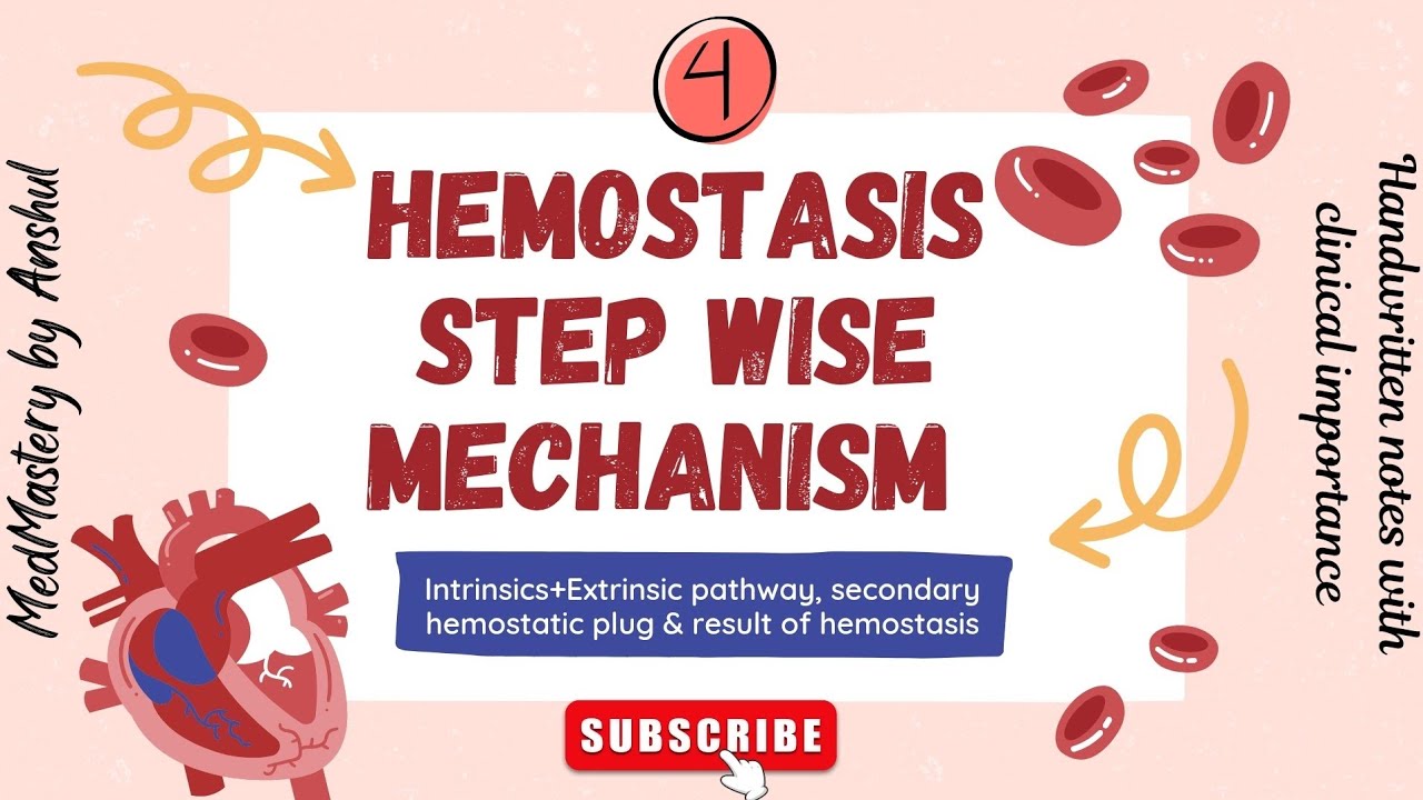 🔥"Hemostasis Mechanism | Intrinsic & Extrinsic Pathway, Secondary Plug & hemostasis result"🩺