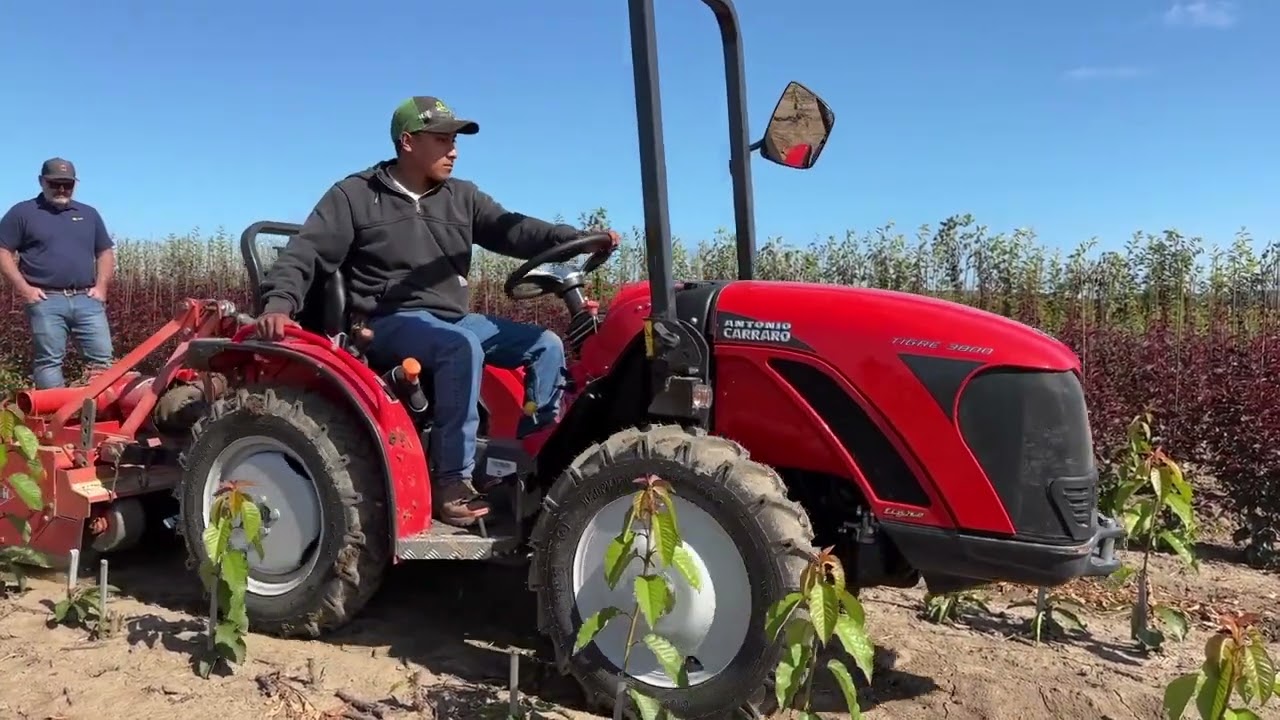 Tigre 3800 Nursery Edition Demo