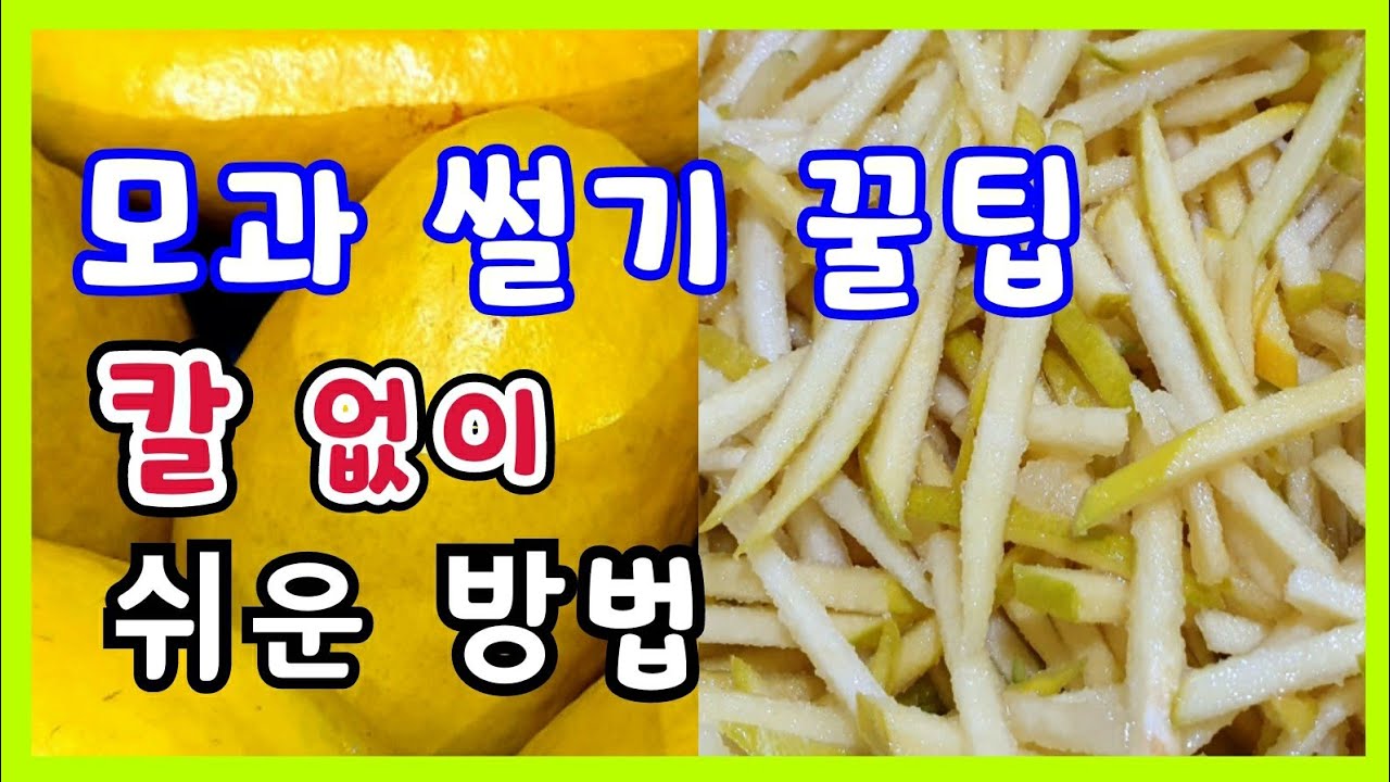 모과자르는법 모과 쉽게 자르기 칼없이 단단한 모과 자르는 꿀팁 모과청 만들기 모과차 만들기 활용 모과 손질법