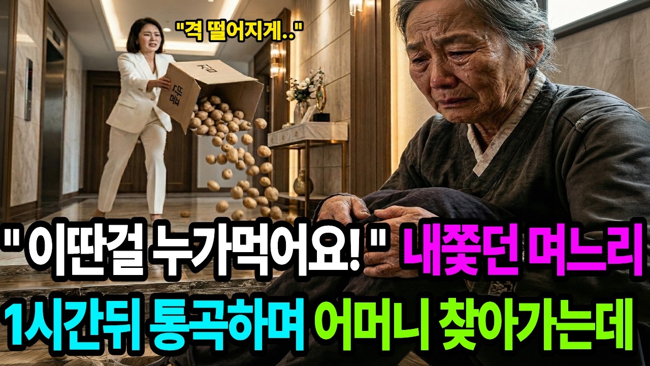며느리가 발로 찬 감자 상자 속 서류 봉투, 그 안에 담긴 300억의 진실 ｜#오디오북 ｜#인생사연｜#사이다사연｜#일할때｜
