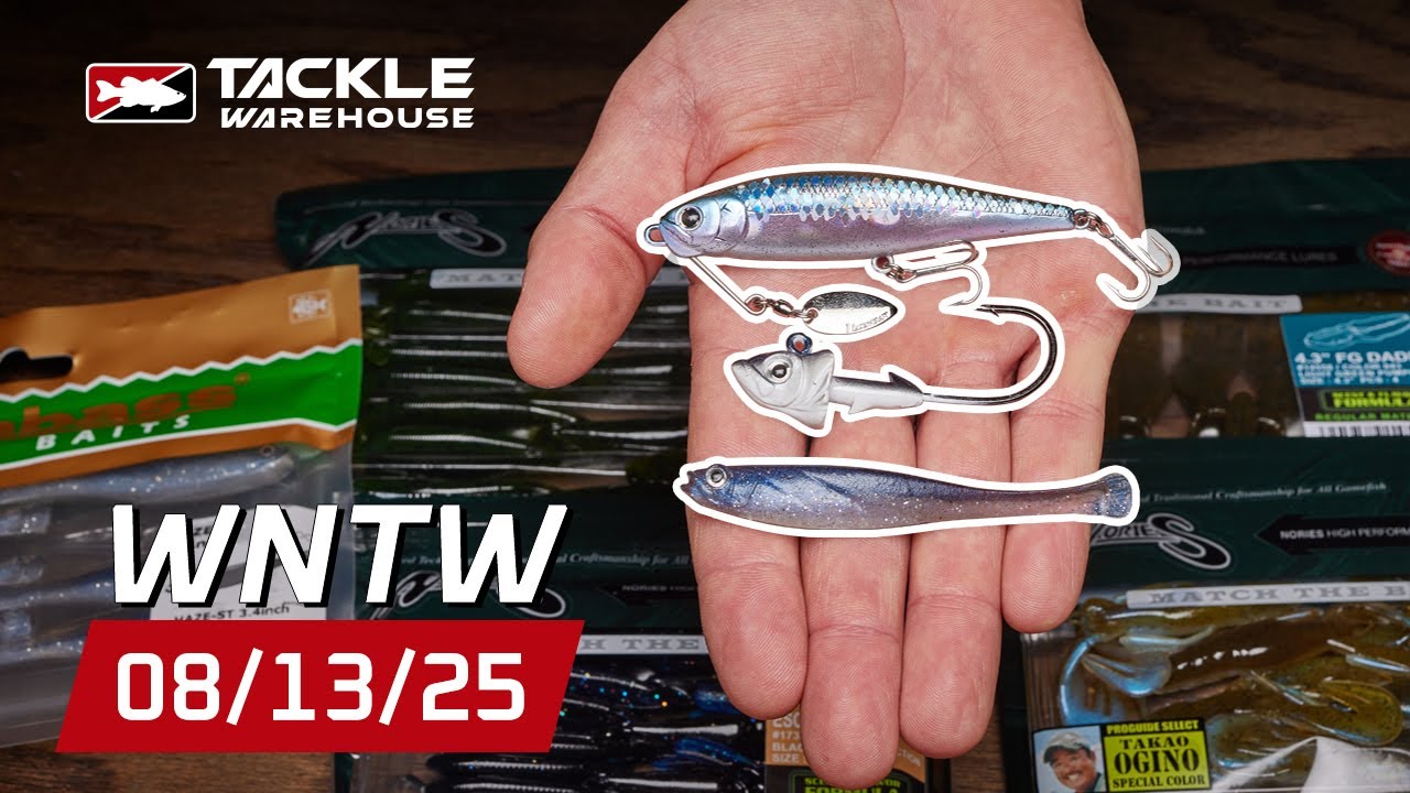 🔥HOT New Lucky Craft, Tackle Warehouse Apparel,  Daiwa Reels & JDM Softbaits!!!!