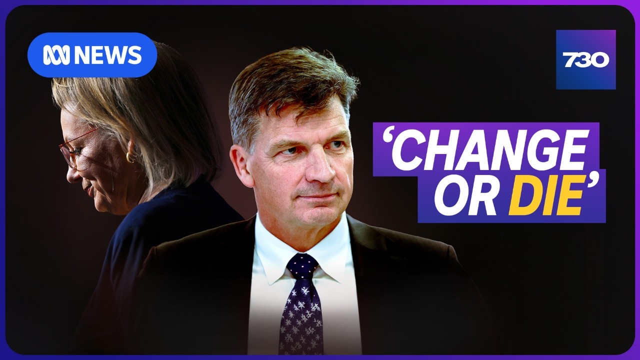 Can Angus Taylor save the Liberal Party? | 7.30