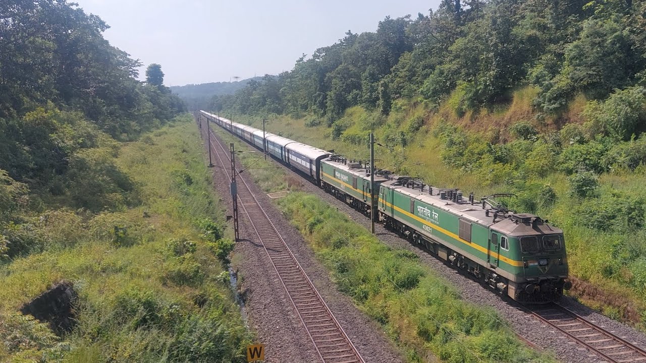 Back to back railfanning in Dense satpura forest area #enjoytravelfun #railfan #railfanning #train 