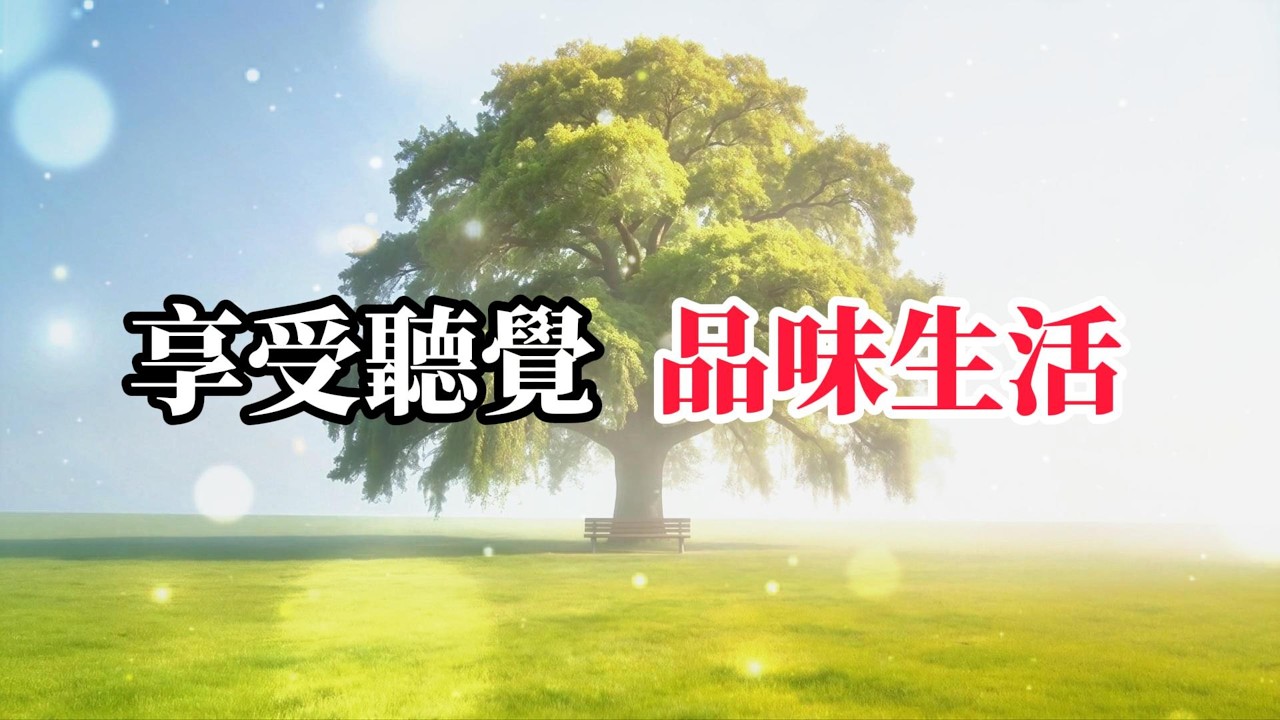 悠閒 享受聽覺 溫潤的聲景為你的思緒鋪上一層柔光，完美隔絕外界紛擾，讓你專注而平靜地進入冥想、閱讀或高效工作狀態 -3-