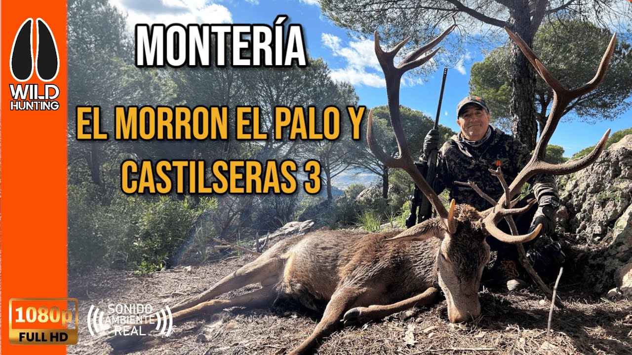 MONTER&Iacute;A MORRON EL PALO Y CASTILSERAS 3 2025 | WILD HUNTING ROPA DE CAZA Y TIEMPO LIBRE #282