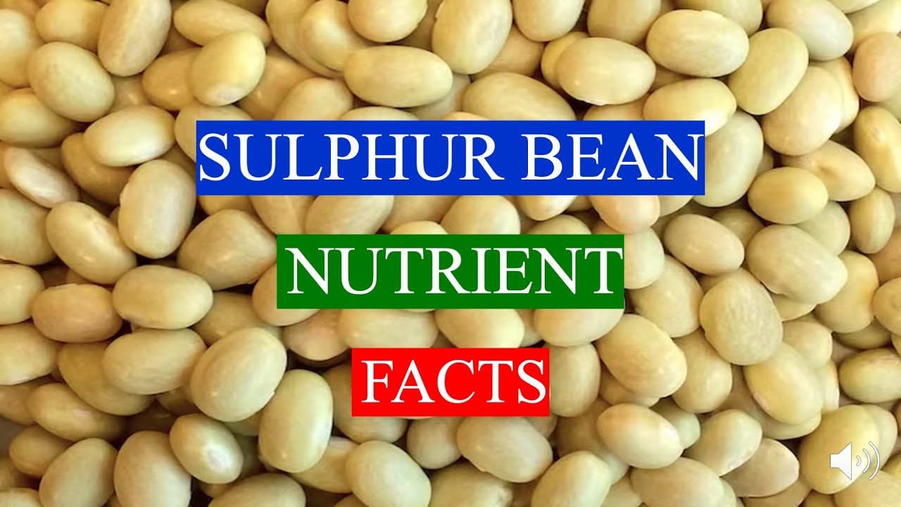 SULPHUR BEAN - MEDICAL AND  HEALTH BENEFITS AND NUTRIENTS FACTS