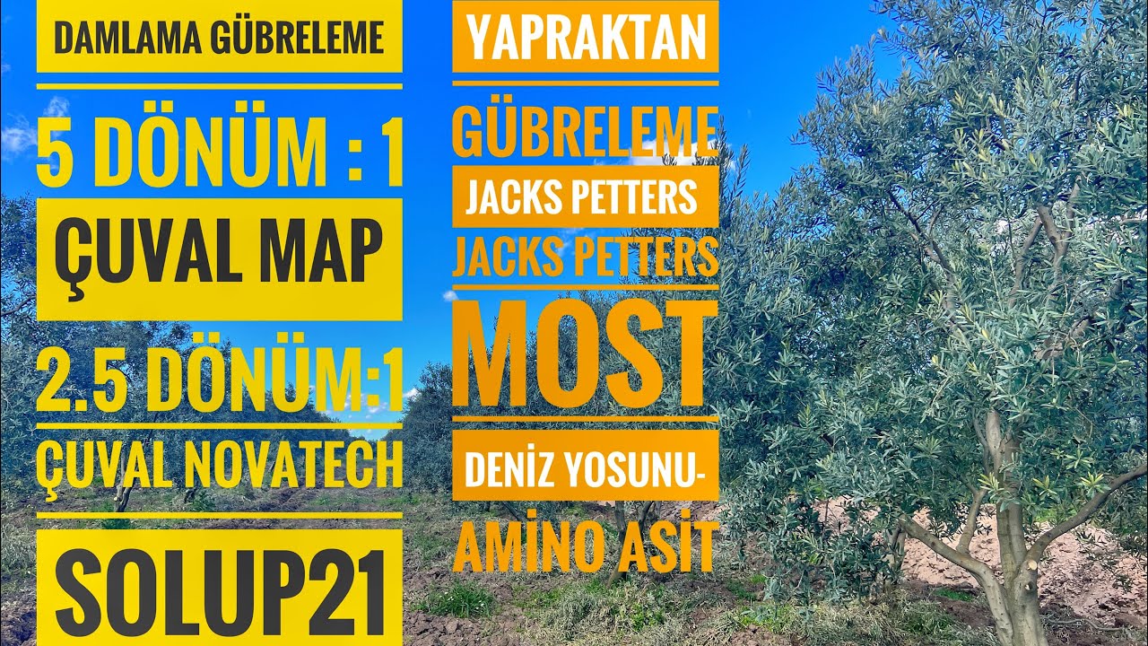 DAMLAMADAN VE YAPRAKTAN UYGULAMA
